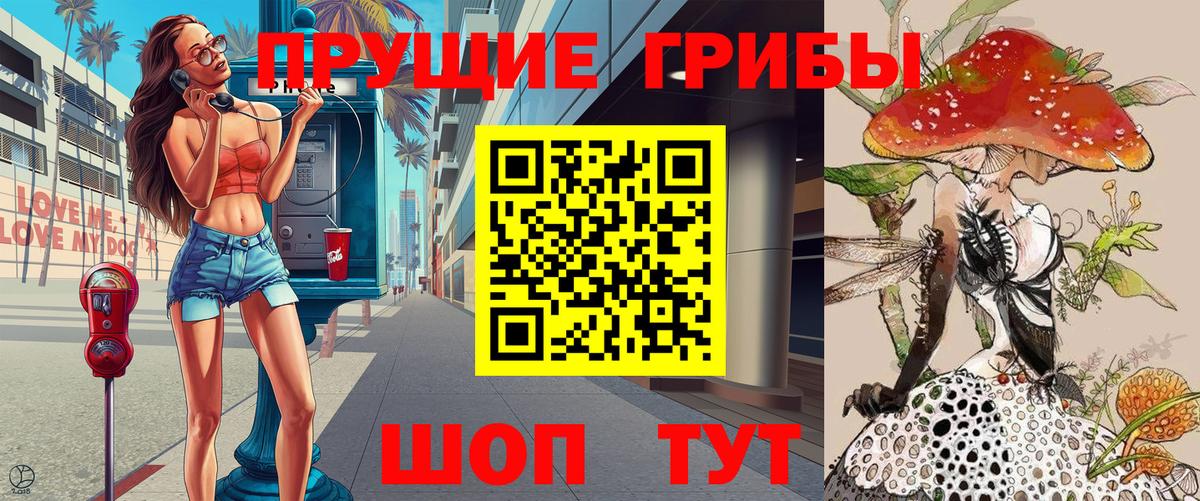 Нефтекумск  наркошоп  Вход с VPN  Галлюциногенные грибы Psilocybine cubensis 
